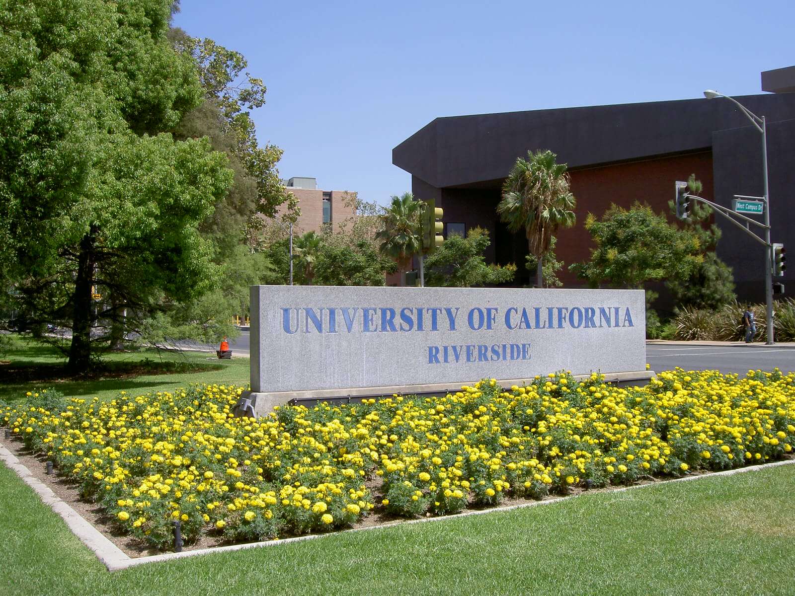 University Of California Graduate School Programs